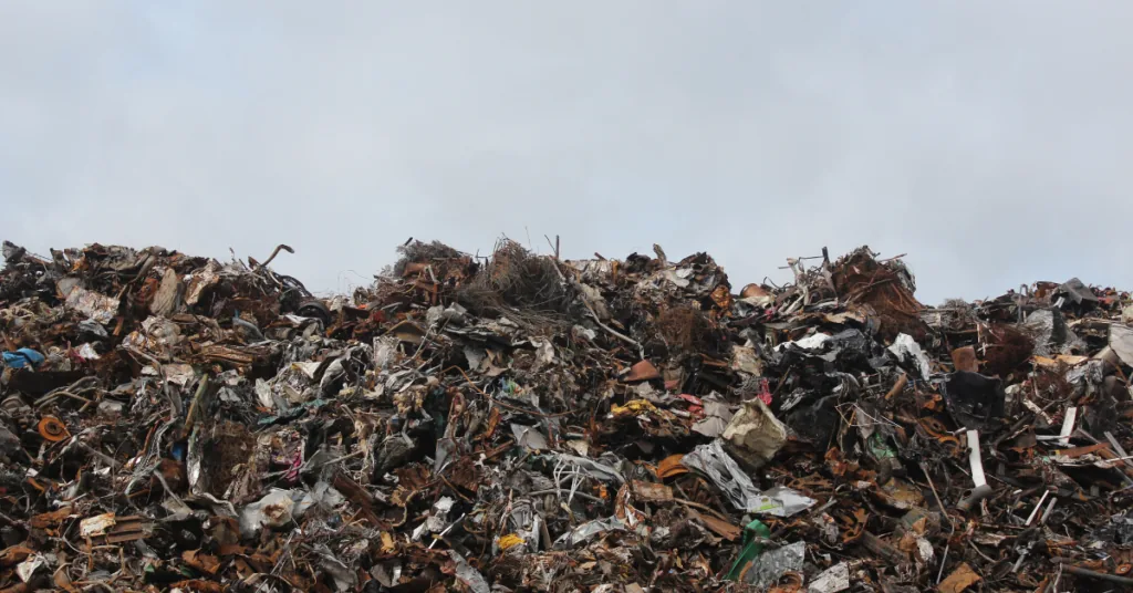 Carta a la humanidad desde 2050